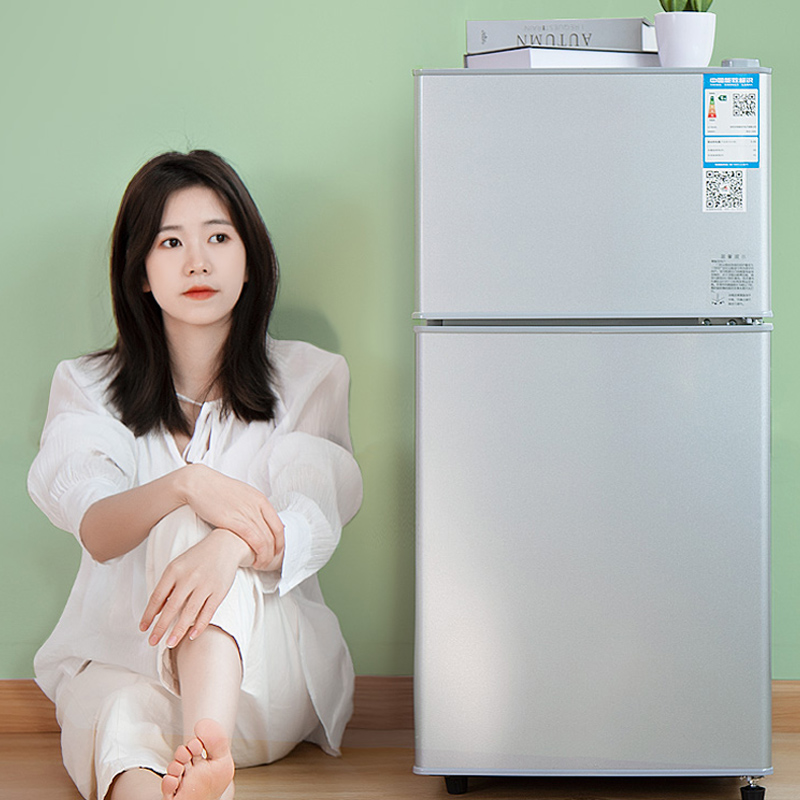 Kitchen Appliances Rental - ตู้เย็นมินิแบบสองประตูสำหรับบ้าน/ออฟฟิศ ตู้เย็นขนาดเล็กแบบพกพาสำหรับบ้านเช่า เครื่องใช้ไฟฟ้าในครัว รุ่น Smart Pro